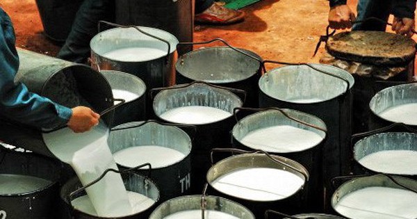 Hàng nghìn tấn 'vàng trắng' của Việt Nam đổ bộ Mỹ với giá đắt đỏ, thuế nhập khẩu 7%