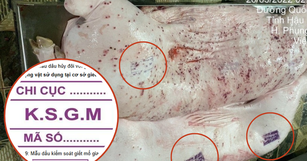 Vụ C.P. Việt Nam bị tố bán heo bệnh: Các mẫu dấu đóng trên thịt gia súc nói lên điều gì?
