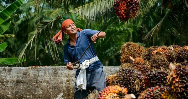 Một ngành giúp Malaysia thu 26 tỷ USD/năm, nước bạn kỳ vọng "Việt Nam mở ra cơ hội tuyệt vời cho chúng ta"