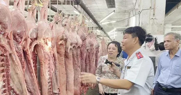 Thanh kiểm tra cơ sở giết mổ động vật trên cả nước