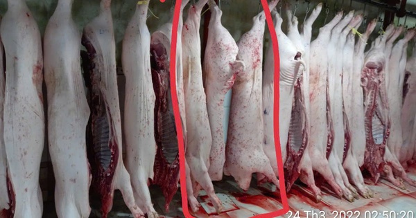 Vụ tố cửa hàng C.P. Việt Nam: Ông L.Q.N lại tung thêm bằng chứng?