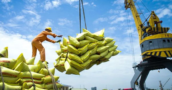 Xuất khẩu gạo đối diện với rủi ro kép