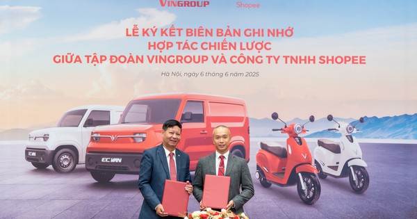 Tỷ phú Phạm Nhật Vượng bắt tay tập đoàn 200 tỷ USD chính thức gia nhập thị trường mua sắm online