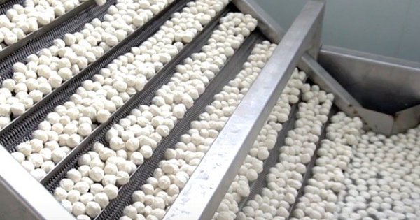 Một mặt hàng ‘ngon, bổ, rẻ’ của Việt Nam được Thái Lan, Hàn Quốc cực ưa chuộng: Thu về trăm triệu USD kể từ đầu năm, Nga cũng bắt đầu ‘đặt gạch’ mua hàng
