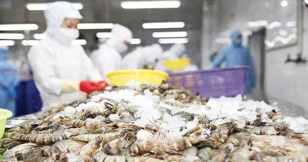 Bất ngờ về thủy sản Việt Nam xuất khẩu