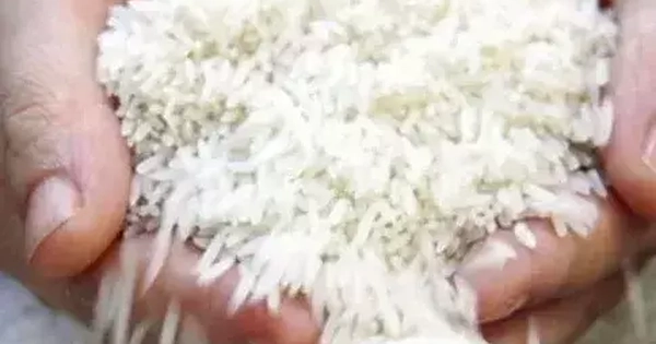 Gạo Ấn Độ rớt giá sâu, Việt Nam đứng vững