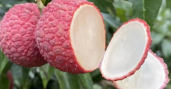 Đắt hơn cả cherry Mỹ, một loại quả quen thuộc ở Việt Nam trở thành thực phẩm xa xỉ ở Trung Quốc