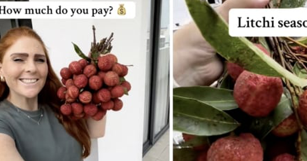 Sốt clip cô gái Tây cười tít khoe chùm vải ngon mua với giá 30 nghìn đồng/kg