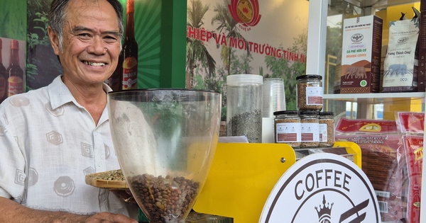 Giá cà phê lao dốc có bất thường?