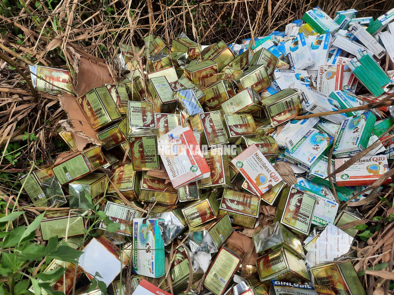 Phát hiện số lượng lớn thuốc, thực phẩm chức năng bỏ ở Bình Chánh - Ảnh 11