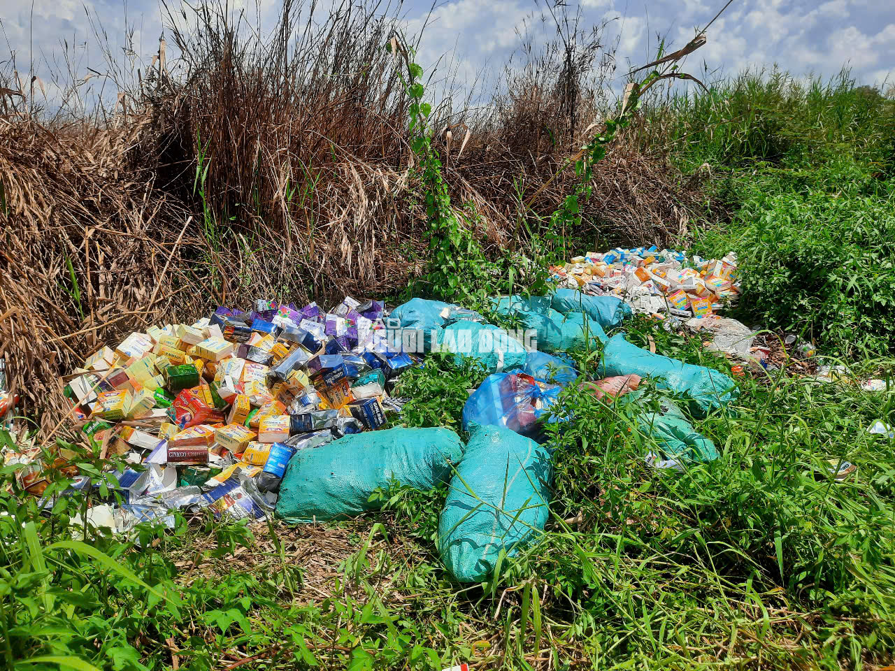 Phát hiện số lượng lớn thuốc, thực phẩm chức năng bỏ ở Bình Chánh - Ảnh 21