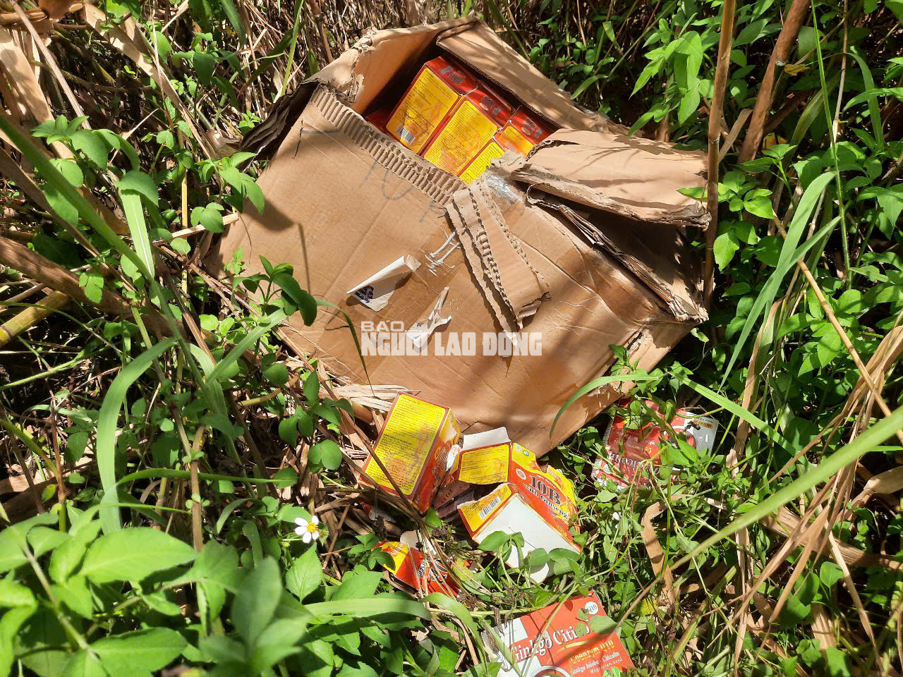 Phát hiện số lượng lớn thuốc, thực phẩm chức năng bỏ ở Bình Chánh - Ảnh 22