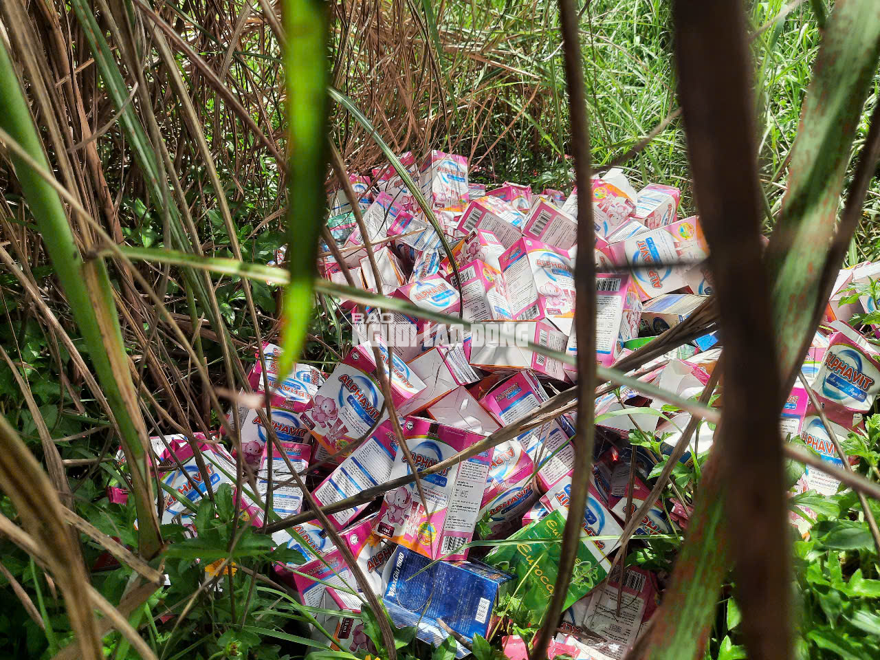 Phát hiện số lượng lớn thuốc, thực phẩm chức năng bỏ ở Bình Chánh - Ảnh 25