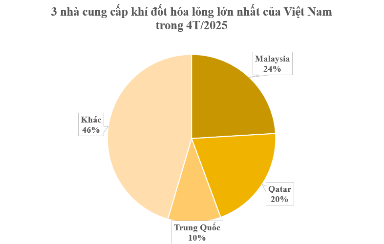 Hàng trăm nghìn tấn hàng từ Malaysia vừa đổ bộ Việt Nam: Là nhiên liệu quan trọng không kém xăng dầu, nước ta chi hơn nửa tỷ USD gom hàng - Ảnh 1