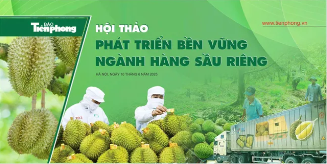 Giải bài toán trách nhiệm trong câu chuyện sầu riêng Việt: Nhiễm cadimi không phải hoàn toàn là lỗi của người nông dân - Ảnh 2
