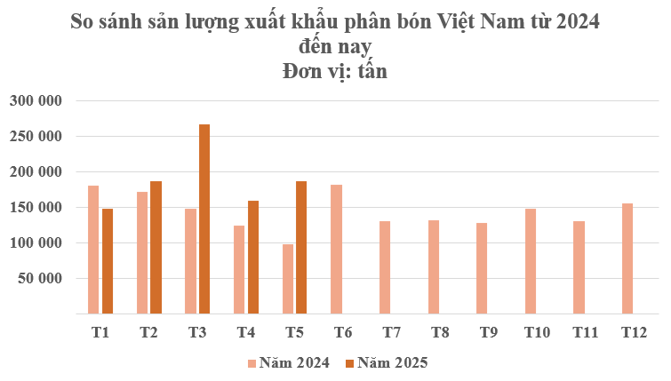 Hàng trăm nghìn tấn hàng của Việt Nam vừa đổ bộ Campuchia: Được mệnh danh cứu tinh của nông sản, nước ta tiêu thụ hàng chục triệu tấn mỗi năm - Ảnh 2