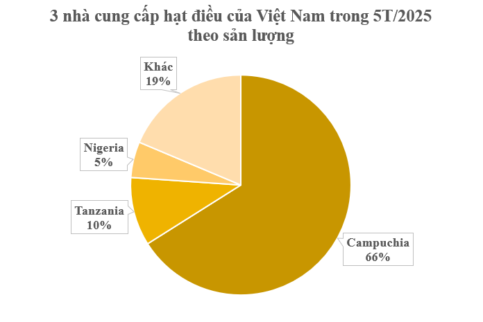 'Hạt vàng' từ Campuchia tràn về Việt Nam: Thuế suất 0% tiếp sức cho ngành xuất khẩu tỷ đô - Ảnh 2