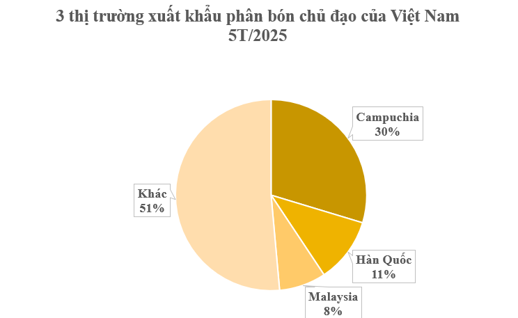 Hàng trăm nghìn tấn hàng của Việt Nam vừa đổ bộ Campuchia: Được mệnh danh cứu tinh của nông sản, nước ta tiêu thụ hàng chục triệu tấn mỗi năm - Ảnh 3