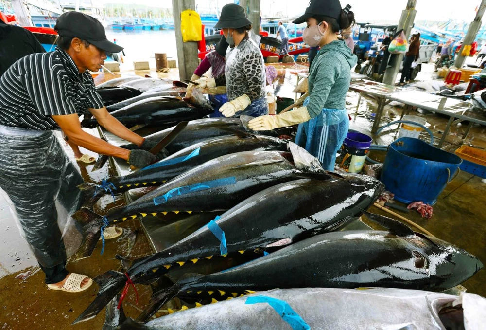 Một mặt hàng của Việt Nam lập kỳ tích, vượt Trung Quốc tại thị trường khó tính bậc nhất EU - Ảnh 3