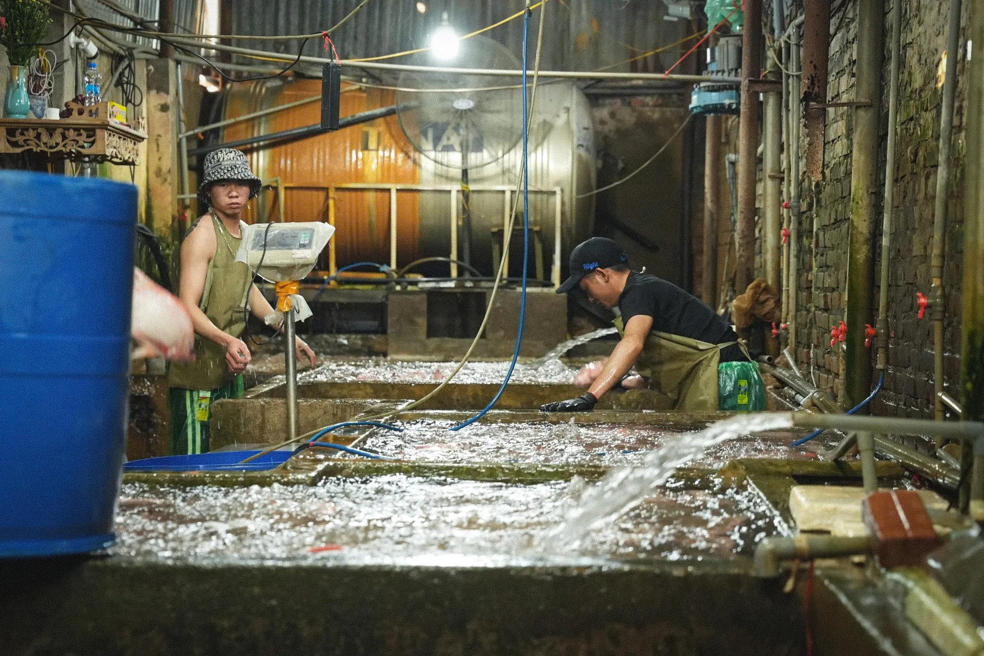 Bên trong chợ đầu mối thủy sản lớn nhất Thủ đô: Xuống cấp, chật chội, nhếch nhác - Ảnh 5