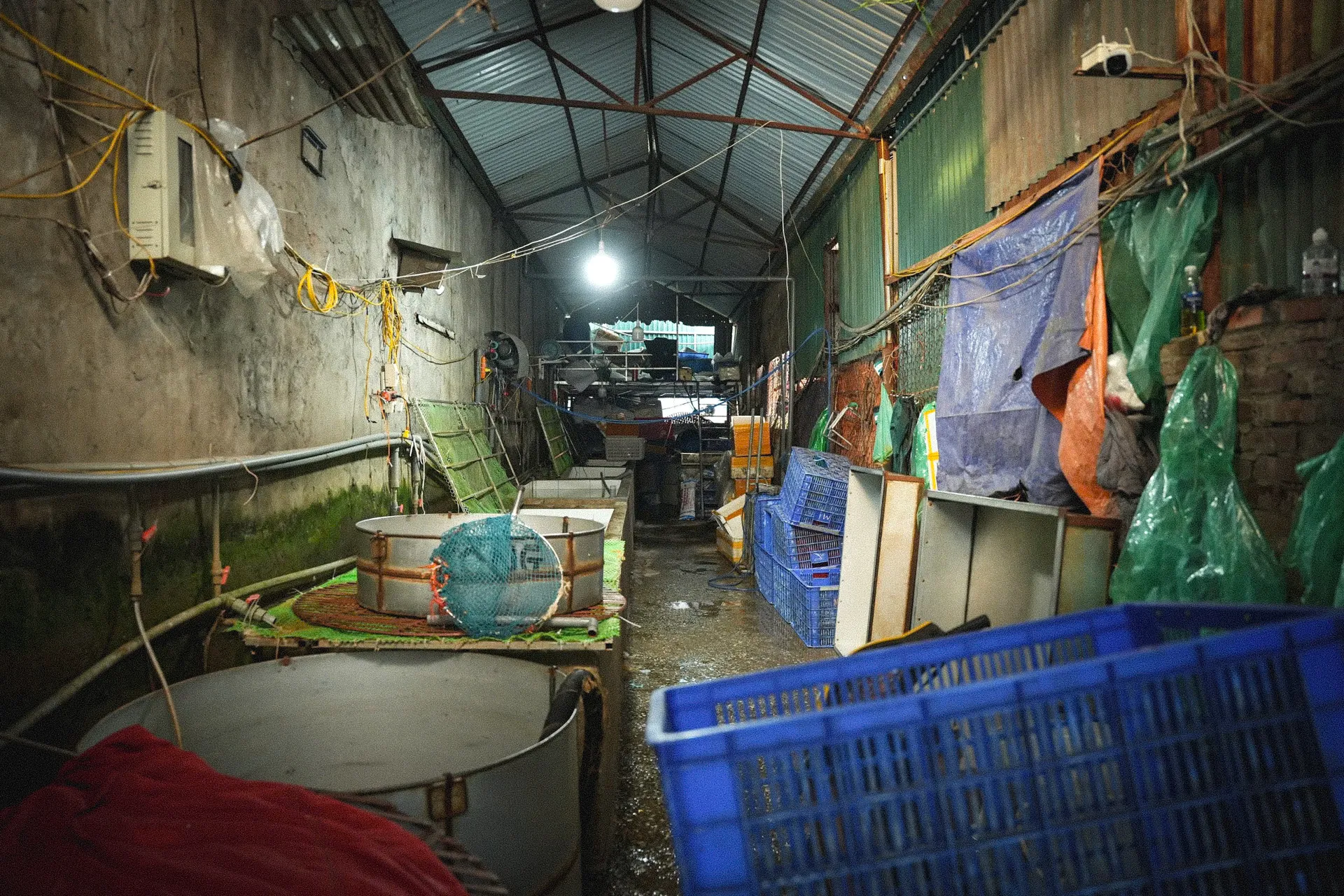 Bên trong chợ đầu mối thủy sản lớn nhất Thủ đô: Xuống cấp, chật chội, nhếch nhác - Ảnh 7