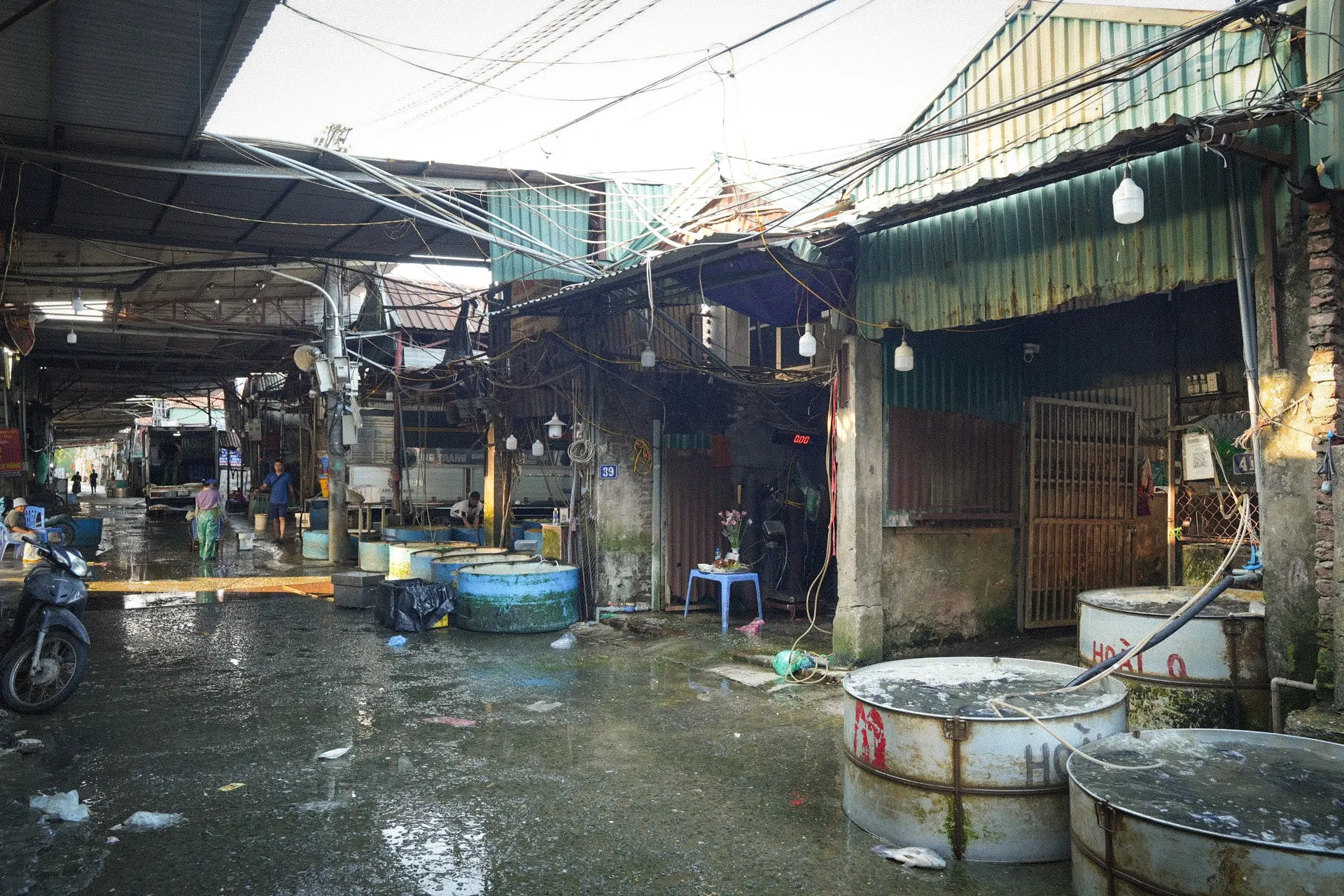 Bên trong chợ đầu mối thủy sản lớn nhất Thủ đô: Xuống cấp, chật chội, nhếch nhác - Ảnh 2