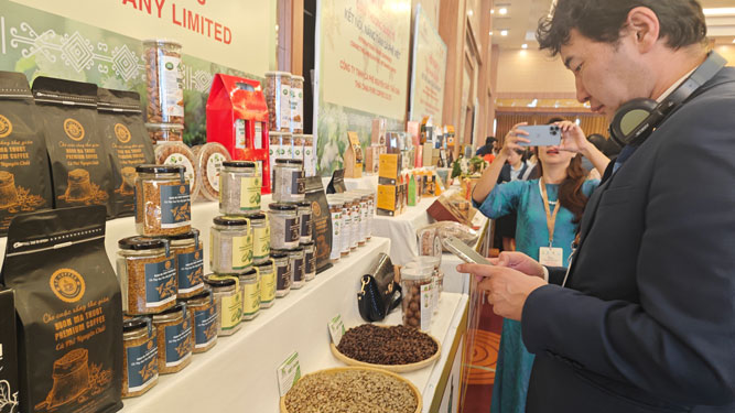 Nhấp nhổm với giá cà phê - Ảnh 1