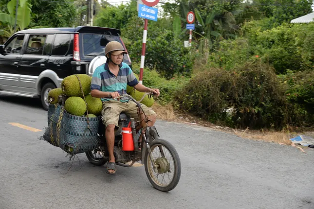 Mít Thái rẻ chưa từng thấy - Ảnh 1