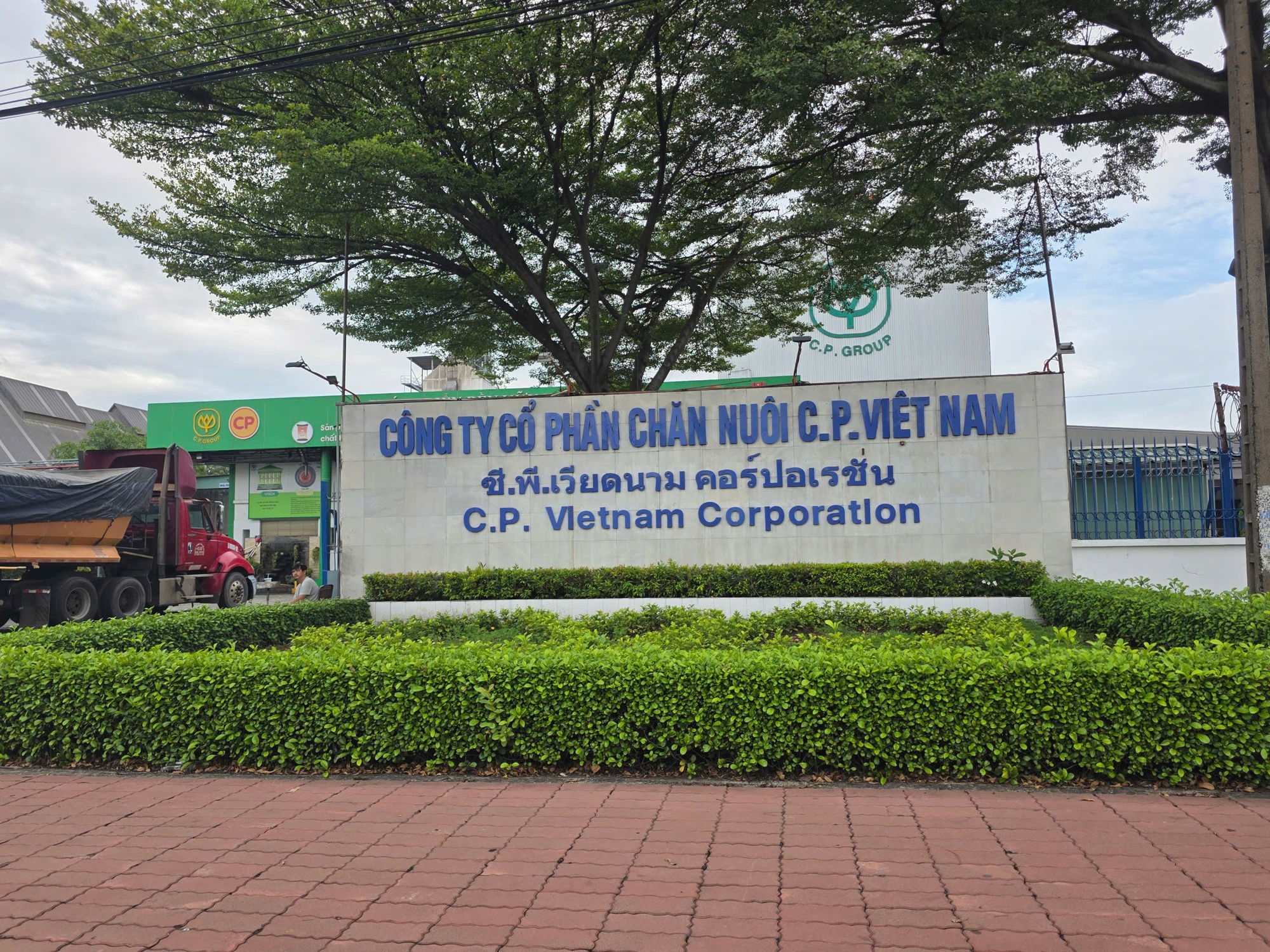 Công ty C.P. Việt Nam từng bị UBND tỉnh Đồng Nai xử phạt gần 800 triệu đồng - Ảnh 1
