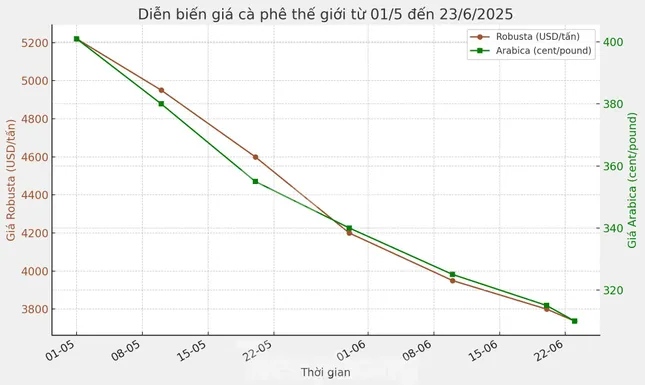 Lý do giá cà phê lao dốc - Ảnh 1