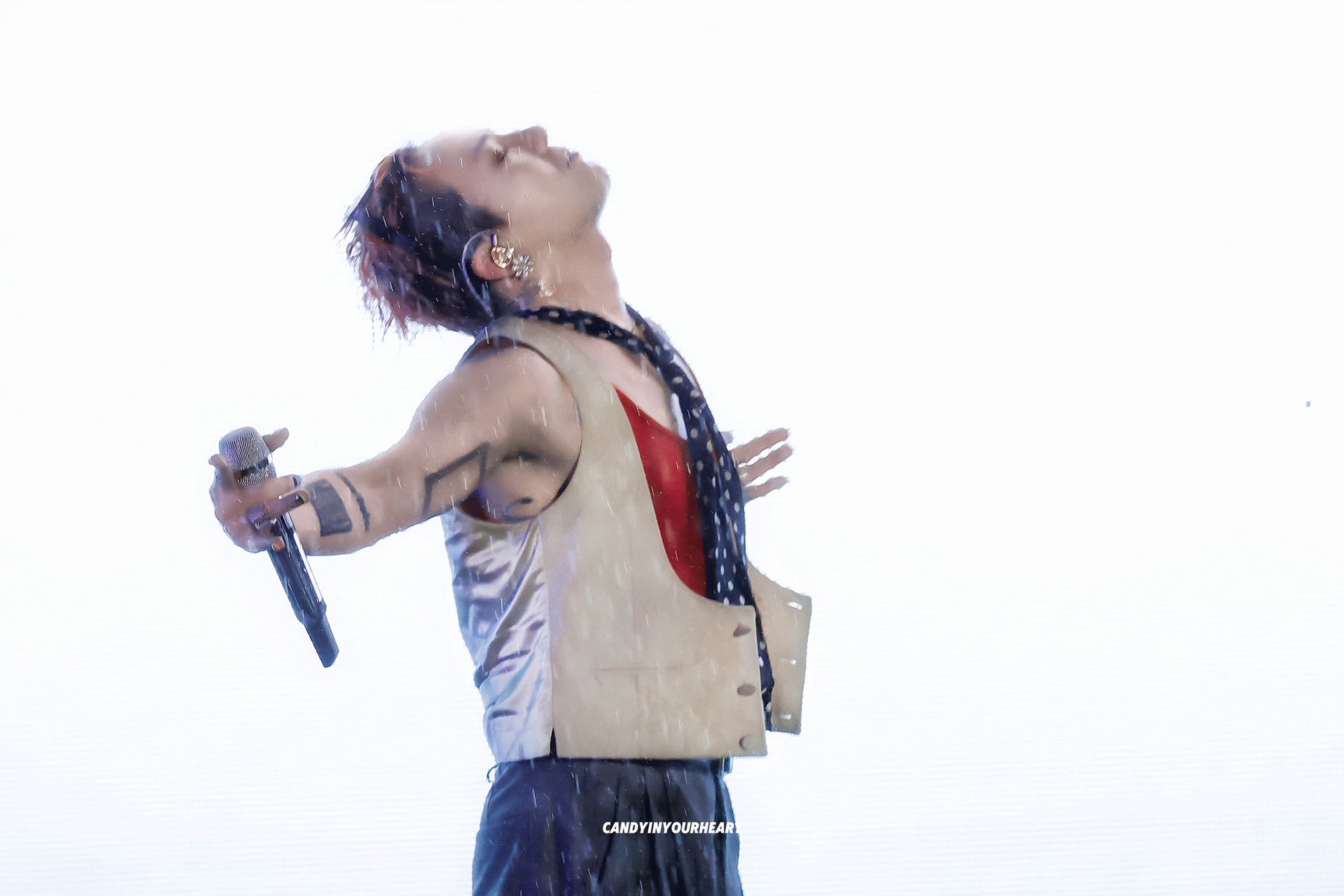 Vé máy bay đi Hà Nội tháng 11 rục rịch "căng" vì fan “anh Long” sợ chậm mất cơ hội hiếm - Ảnh 2