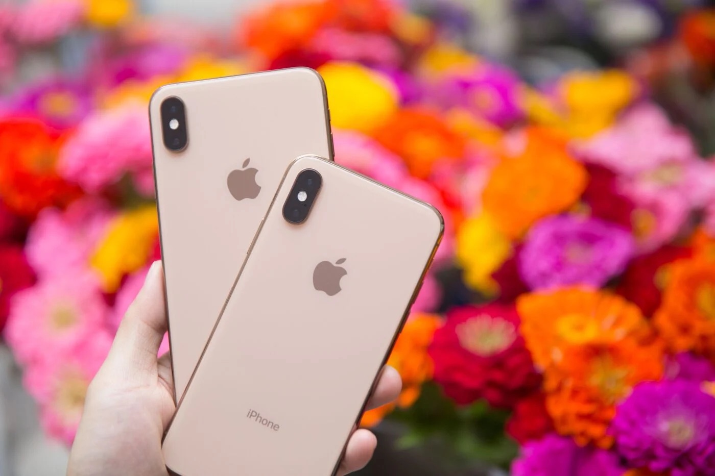 iPhone XS chính thức lọt vào danh sách 'đồ cổ': Siêu phẩm một thời đình đám giờ chỉ còn là dĩ vãng - Ảnh 2