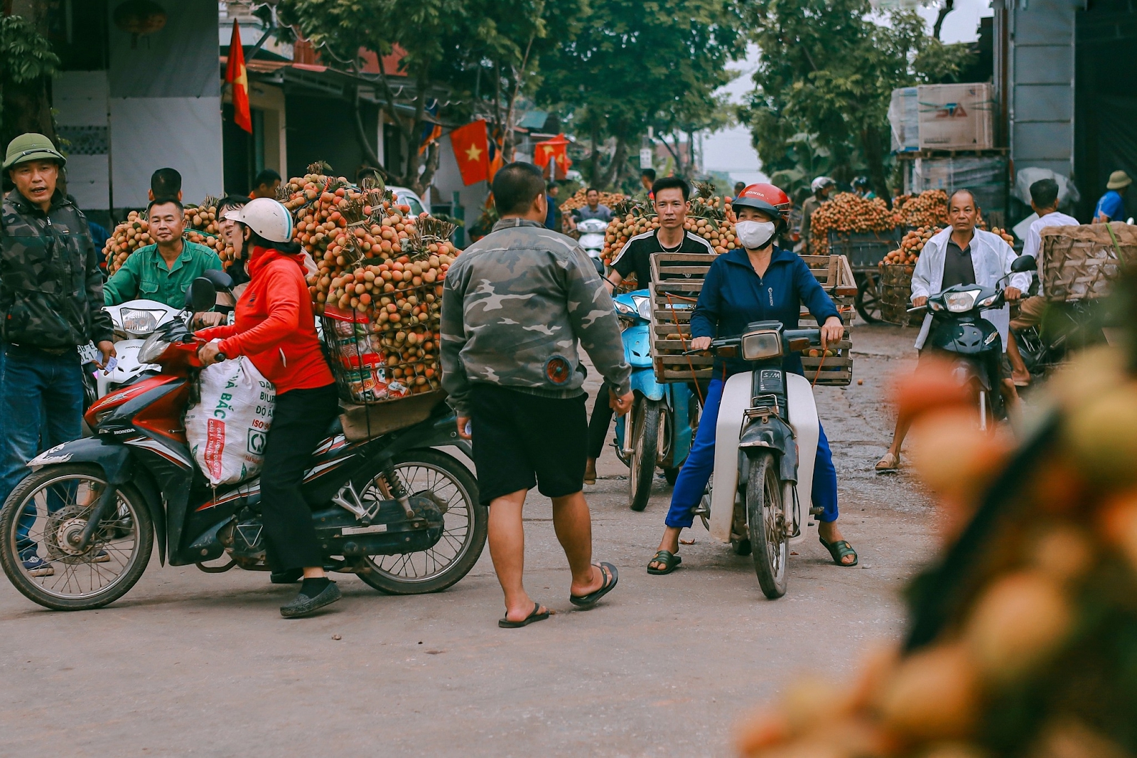 Cảm nhận niềm vui lao động qua bộ ảnh người dân thu hoạch vải - Ảnh 4