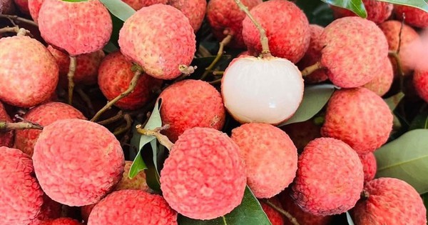 Vải thiều Việt Nam lên kệ siêu thị Đức