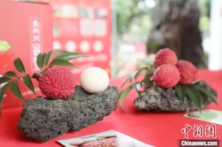 Đắt hơn cả cherry Mỹ, một loại quả quen thuộc ở Việt Nam trở thành thực phẩm xa xỉ ở Trung Quốc - Ảnh 1