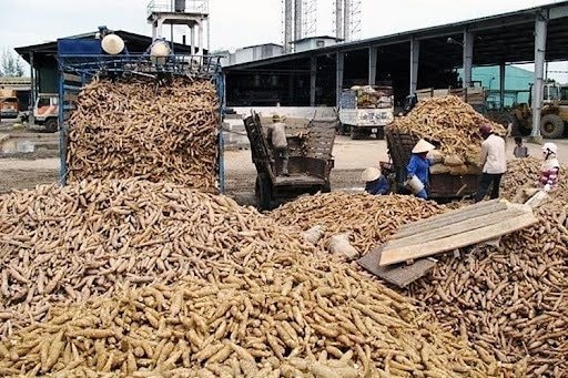 Hàng chục nghìn tấn hàng ùn ứ ở cửa khẩu: Bộ trưởng Thái Lan vừa nhấn mạnh điều gì? - Ảnh 1