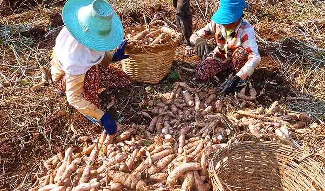 Hàng chục nghìn tấn hàng ùn ứ ở cửa khẩu: Bộ trưởng Thái Lan vừa nhấn mạnh điều gì? - Ảnh 3