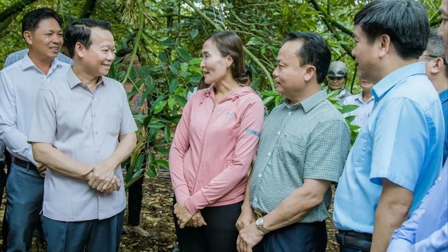 Lời giải niềm tin thị trường sầu riêng sau tin đồn thất thiệt - Ảnh 2