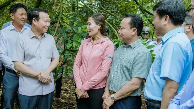 Tin giả gây hại cho thị trường sầu riêng - Ảnh 2