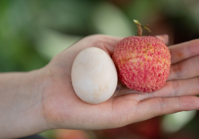 Vải trứng Hưng Yên được mang bán trên trời! - Ảnh 1