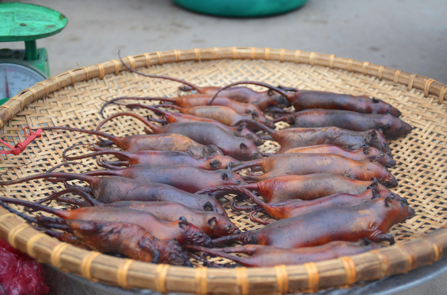 Món đen sì như than cháy khiến ai cũng tưởng khoai nướng, hoá ra là đặc sản "rùng mình" ở nhiều vùng quê Việt - Ảnh 3