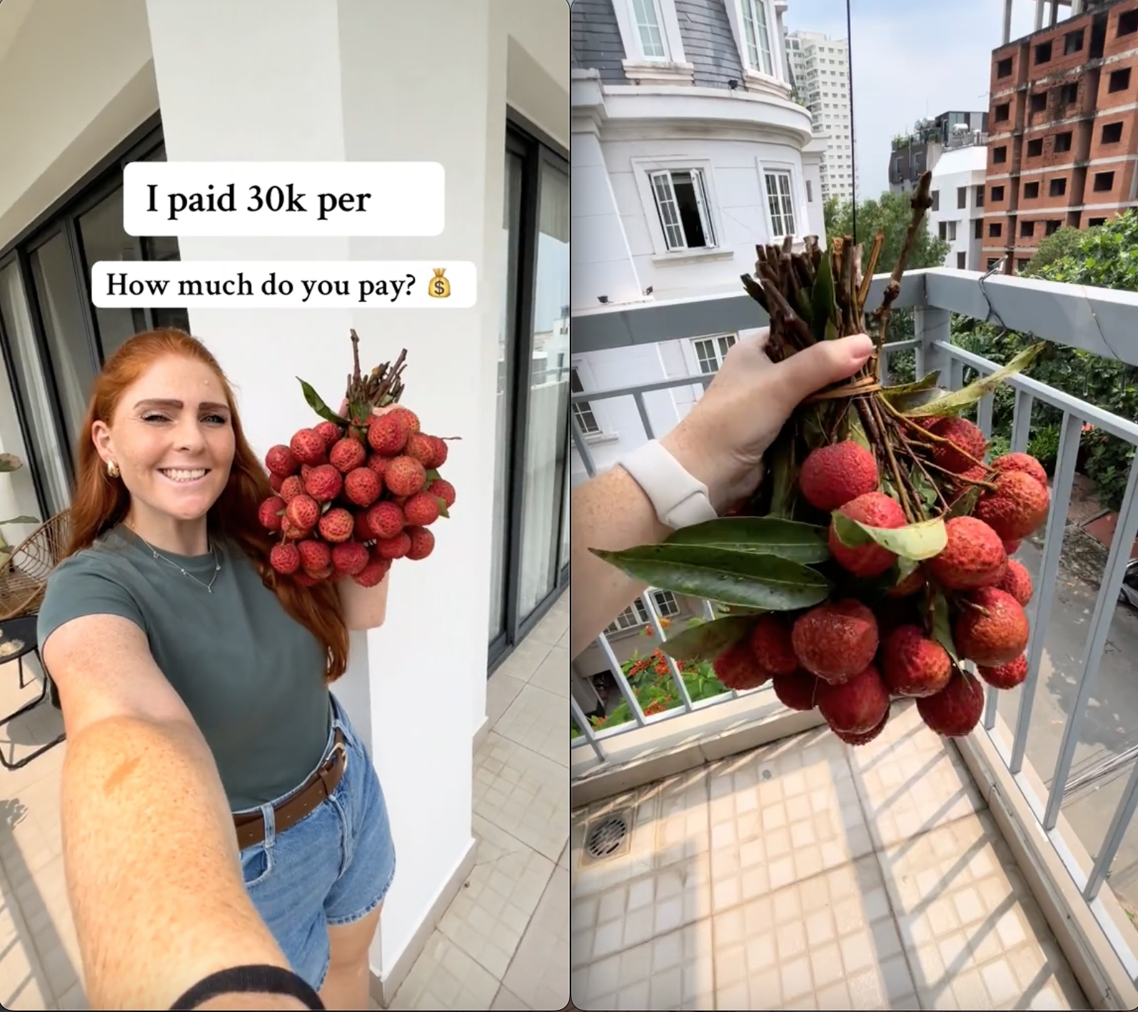 Bỏ 30.000 đồng/kg mua loại trái cây yêu thích ở Việt Nam, khách Tây khiến dân mạng bái phục vì "mát tay" chọn được giá hời - Ảnh 2