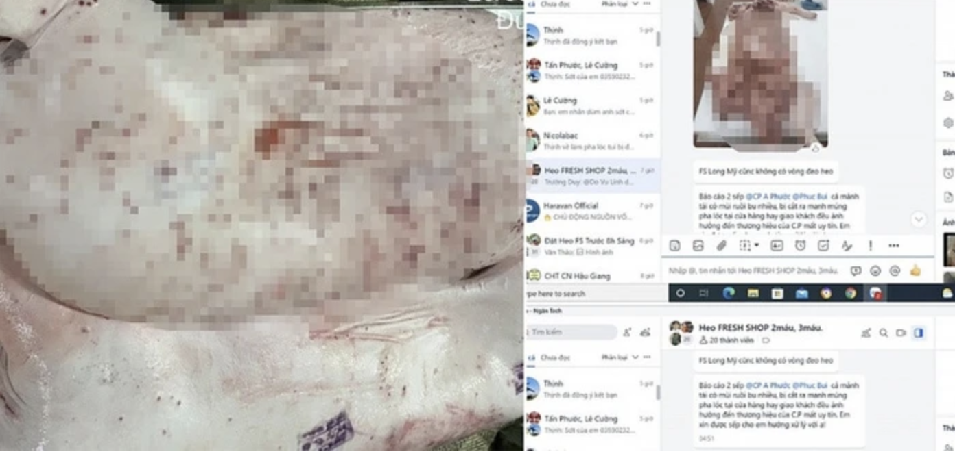 Chủ tịch UBND tỉnh Hậu Giang chỉ đạo "nóng" sau vụ C.P. Việt Nam bị "tố" bán thịt heo bệnh - Ảnh 1