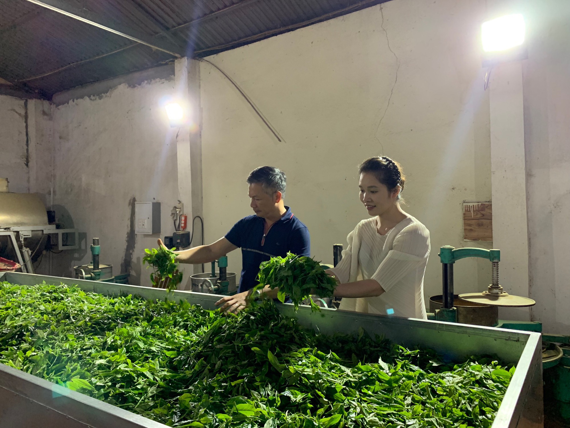 Shark Hưng 'flex' bán trà tại một khách sạn 5 sao ở Hà Nội: Chỉ mong bán giá đắt vì đây là tín hiệu đáng mừng cho người nông dân - Ảnh 1