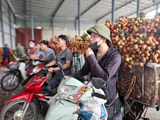 Đi chợ vải thiều Bắc Giang - Ảnh 7