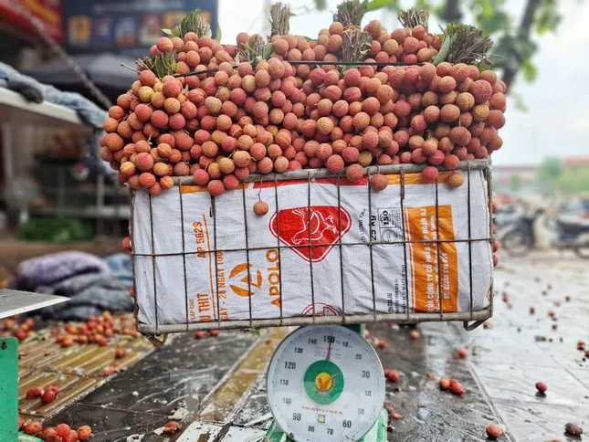 Đi chợ vải thiều Bắc Giang - Ảnh 9