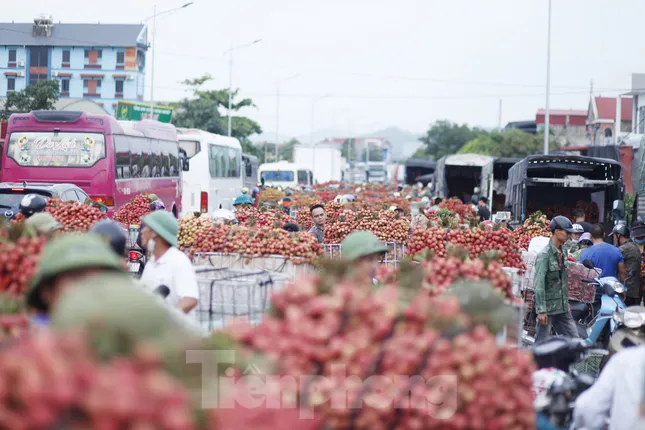 Đi chợ vải thiều Bắc Giang - Ảnh 2