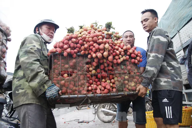 Đi chợ vải thiều Bắc Giang - Ảnh 8