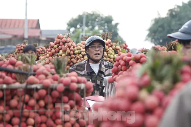 Đi chợ vải thiều Bắc Giang - Ảnh 3