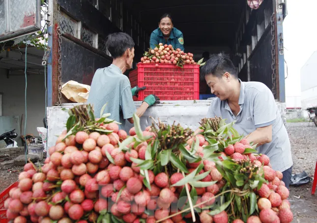 Đi chợ vải thiều Bắc Giang - Ảnh 11